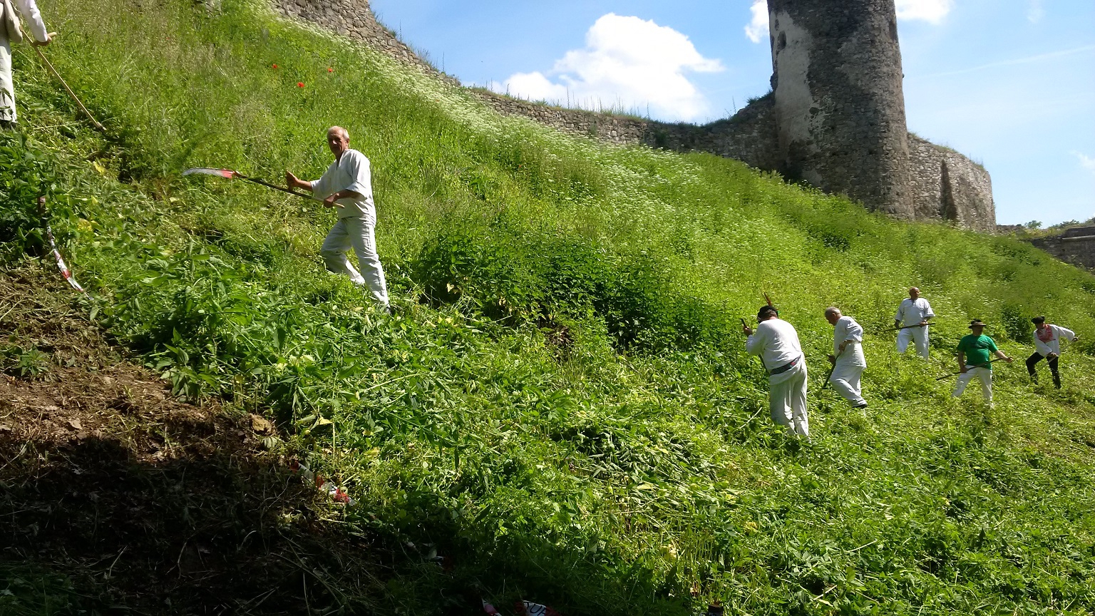 Fotogaléria Šarišske kosače (13) Šarišske kosače